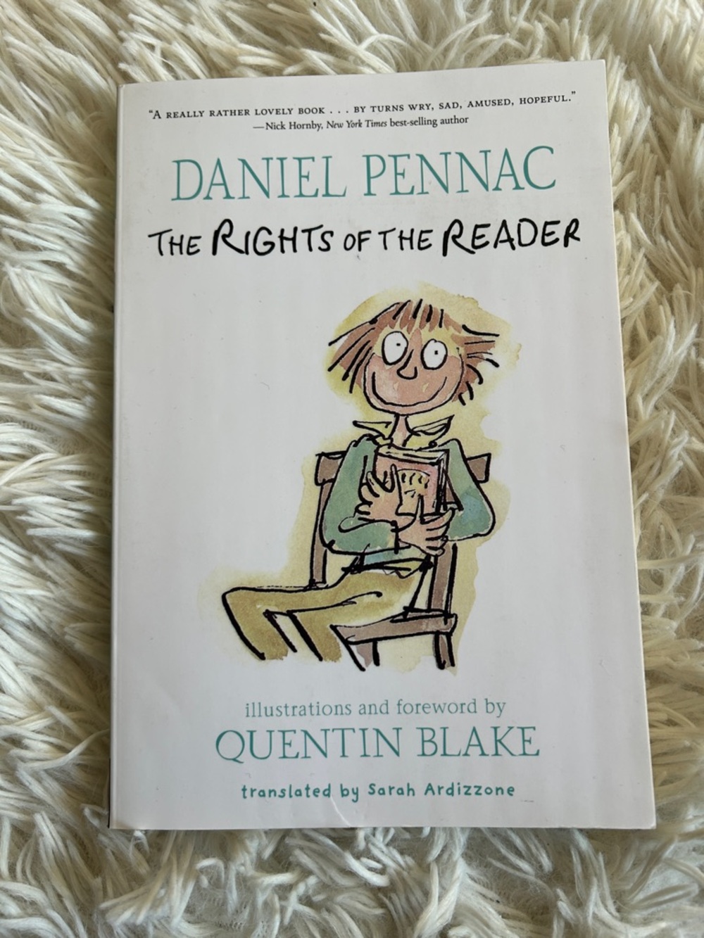 Daniel Pennac "The Rights of the Reader" — White Cover with Teal Text